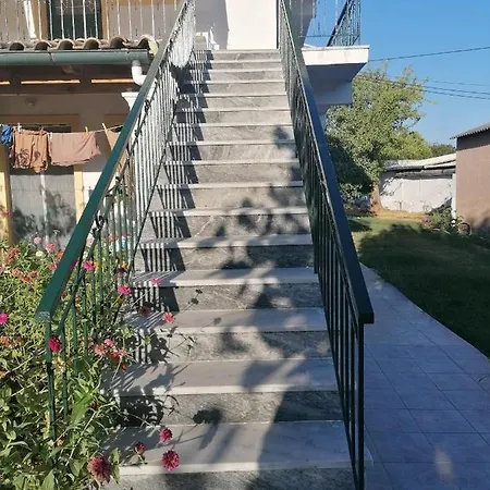 Nea Zoi *