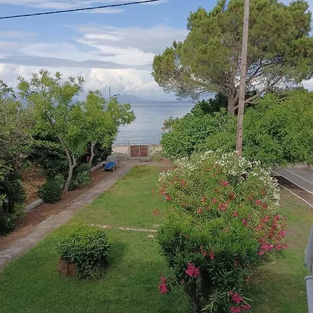 νεα ζωη Μωραΐτικα