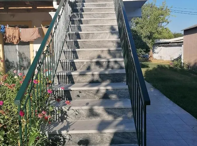 Nea Zoi *